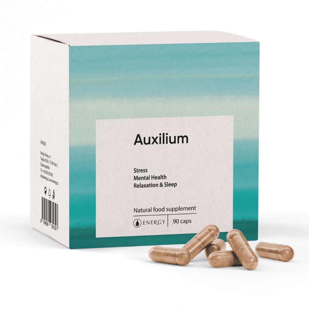 Auxilium 2